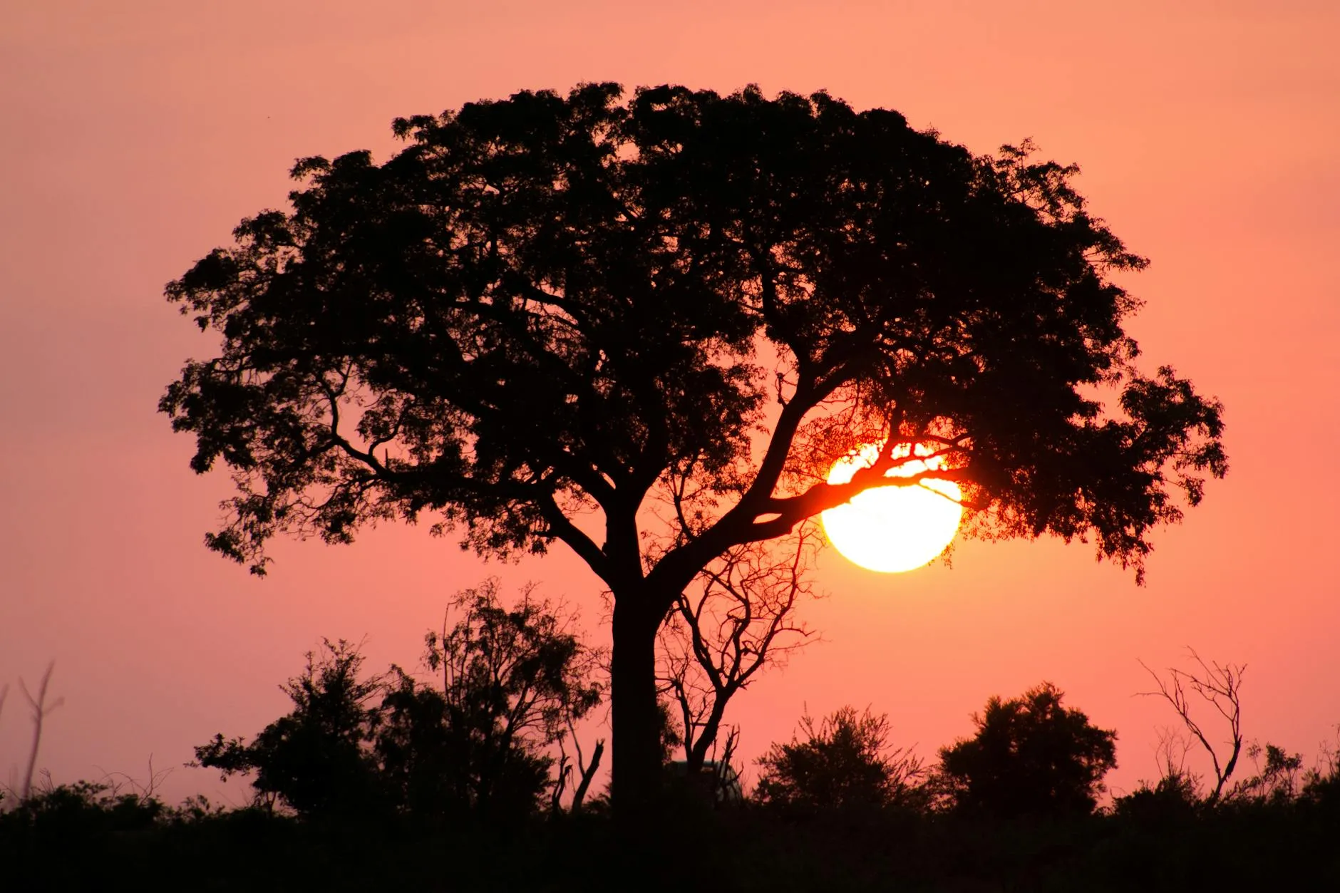 South African sunset over the savanna